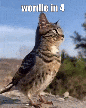 Wordle In GIF