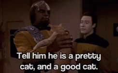Worf Good Kitty GIF