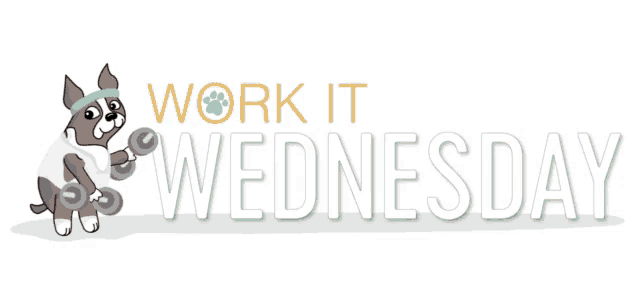Work It Wednesday Zumba GIF