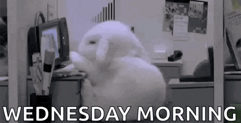 Work Monday GIF