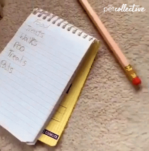 Working The Pet Collective GIF