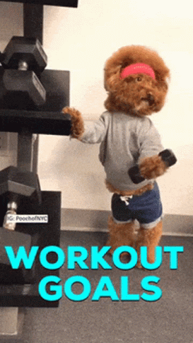Workout Goals Workout GIF