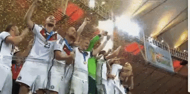 World Cup Germany GIF