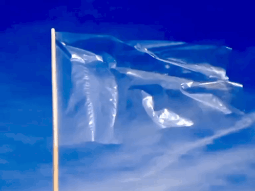 World Flag Zombie Poc Yt GIF