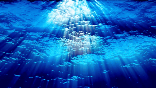 World Oceans Day Oceans Day GIF. This 498 x 281 animated GIF is part of our ocean collection. Created by Romans6v23. View the original animation, share it…