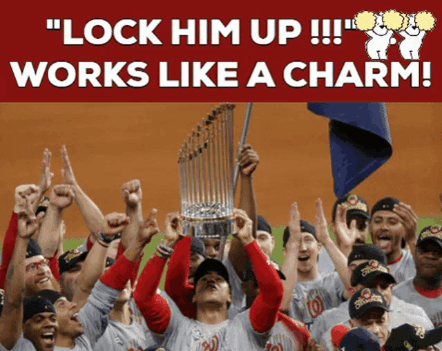 World Series Baseball GIF