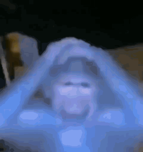 Worried Monkey Monkey GIF