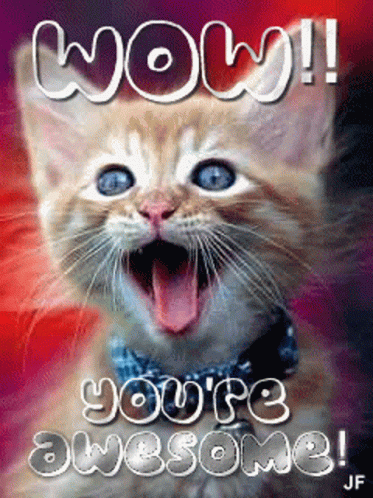 Wow Awesome GIF