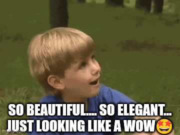 Wow Beautiful GIF