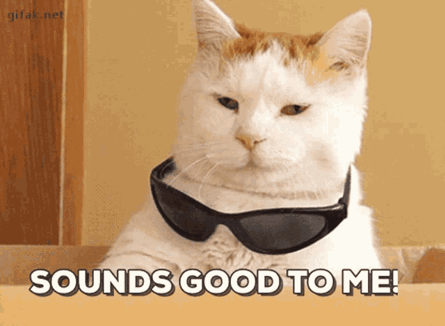 Wow Cool GIF