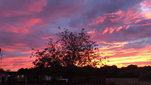 Wow Nature GIF