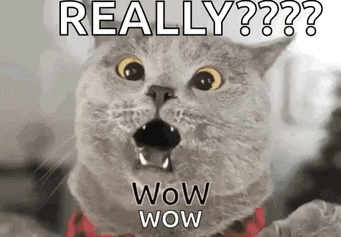 Wow GIF