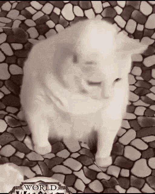 Wow World Of Warcraft GIF