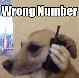 Wrong Number GIF. This 300 x 298 animated GIF is part of our psych thats the wrong number collection. Related themes include funny animals. View the…