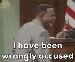Wrongfully-accused Innocent GIF