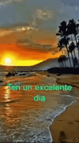 Wrotela1 Rotelaw GIF