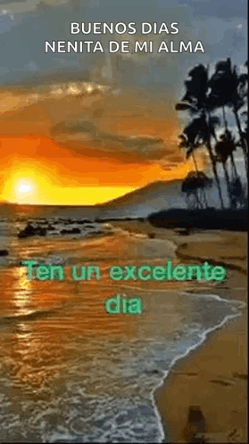 Wrotela1 Rotelaw GIF