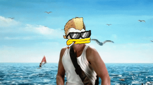 Wtd What The Duck GIF
