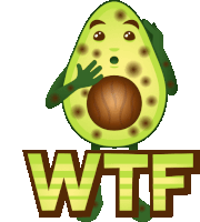 Wtf Avocado Adventures Sticker