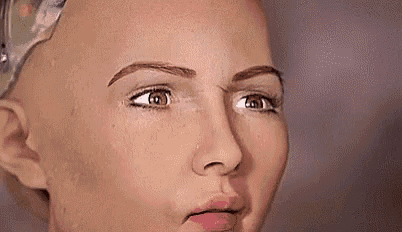 Wtf Ew GIF