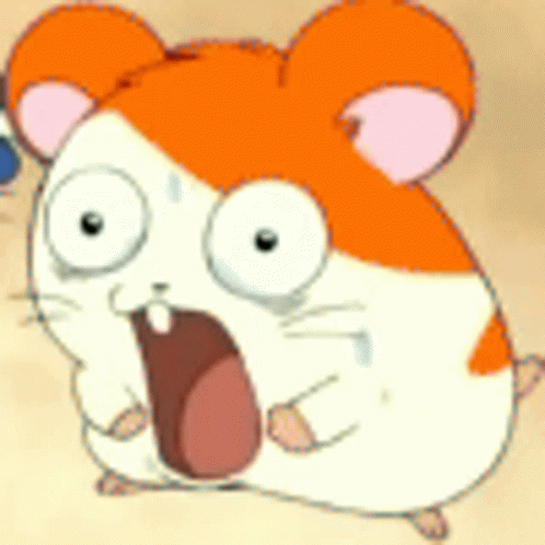 Wtf Funny GIF
