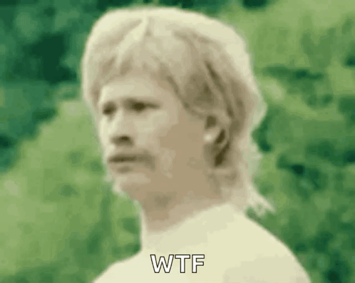 Wtf Gif GIF