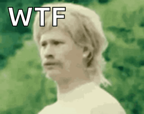Wtf Gif GIF