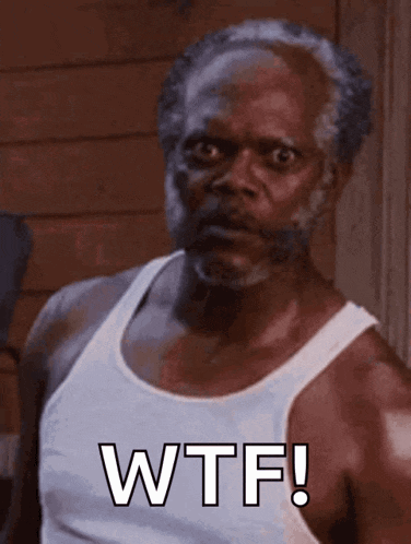 Wtf GIF