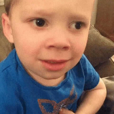 Wtf GIF