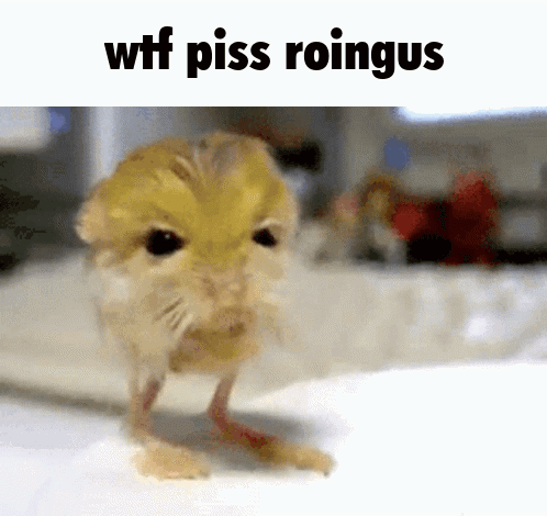 Wtf Piss GIF
