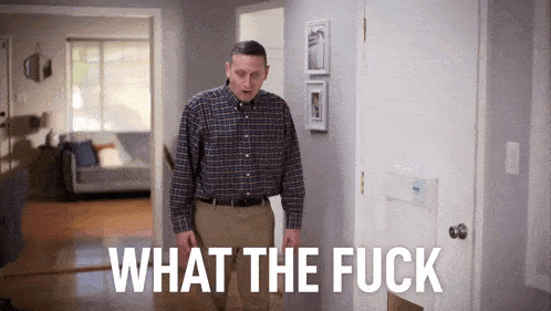 Wtf What The Fuck GIF