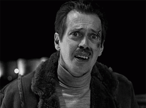 Wtf What GIF. This 498 x 368 animated GIF is part of our steve buscemi lipstick collection. Related themes include what, wtf. Created by cali7. View the…