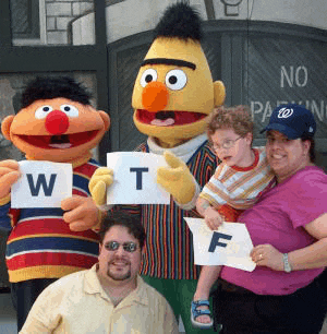 Wtf Wtf Meme Meme