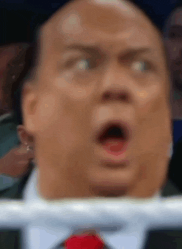 Wwe Royal Rumble 2025 What The Heck Wtf GIF
