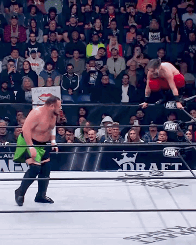 Wwe Wwe Meme GIF