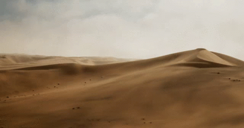 X D123 GIF