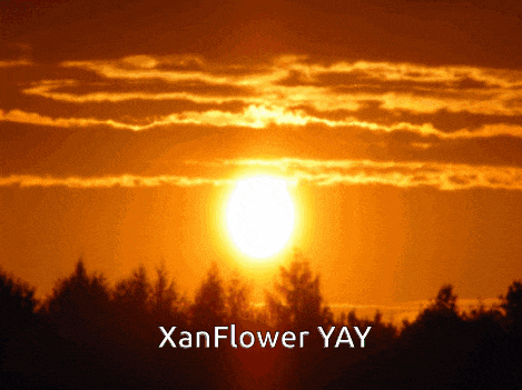 Xander Drdt Xander Matthews GIF