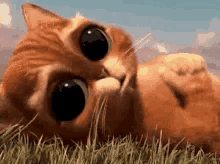 Xdiey Claymore GIF