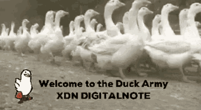 Xdn Wxdn GIF