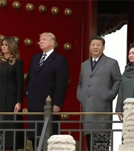 Xi Jinping Donald Trump GIF