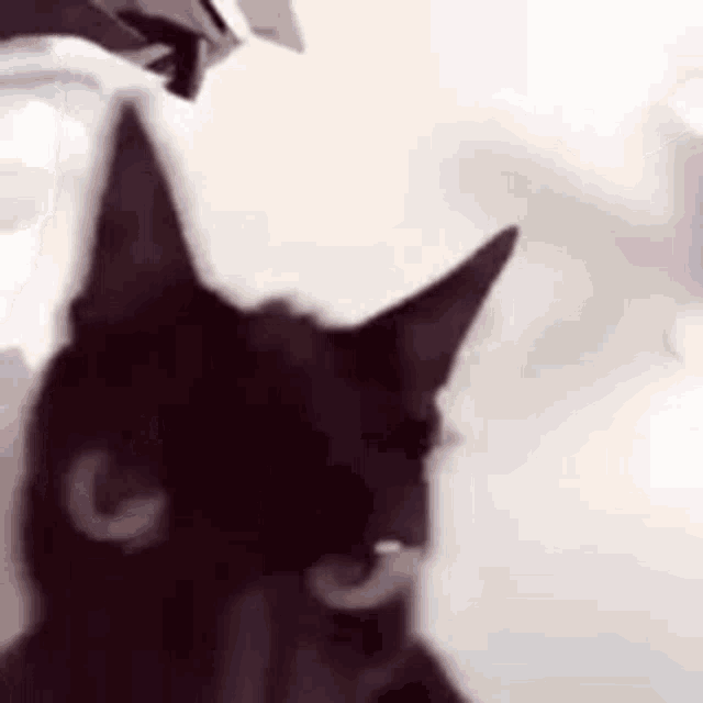 Xjkt GIF
