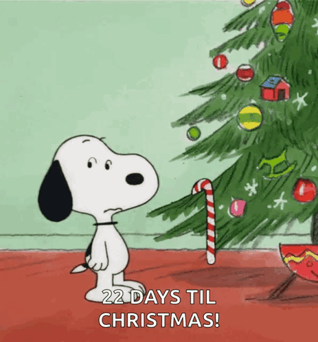 Xmas Christmas GIF