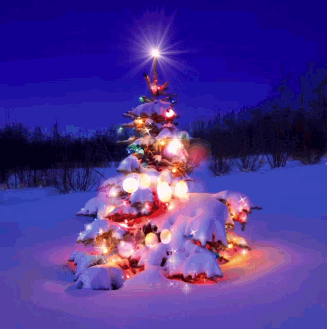 Xmas Tree Christmas Tree GIF