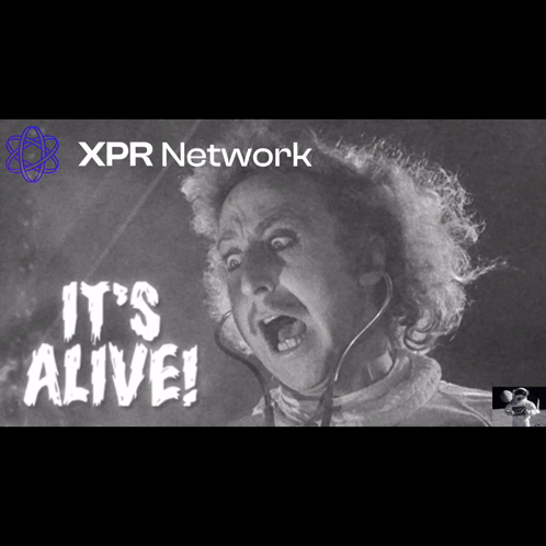 Xpr Xpr Network GIF