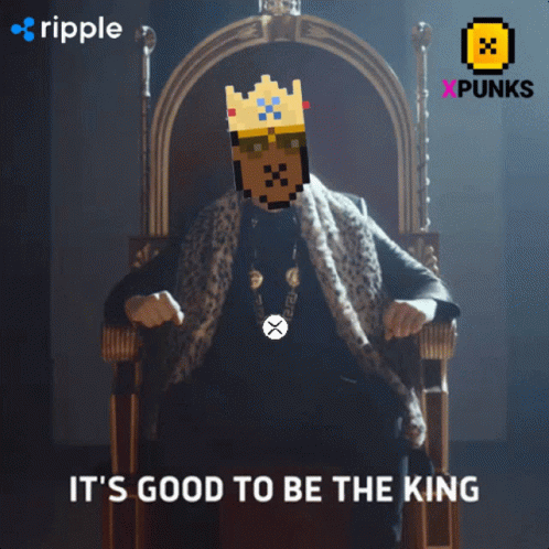 Xpunks King GIF. This 498 x 498 animated GIF is part of our its good to be the king collection. Created by Mr_Anchovy. View the original animation, share…