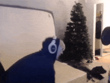 Xqc Xqcow GIF