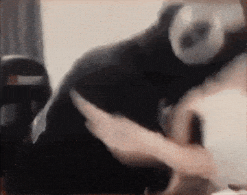 Xqc Xqcow GIF