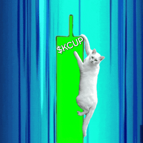 Xrpl Youridb GIF