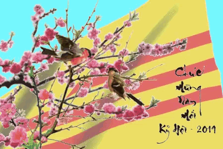 Xuan2019 Xuan GIF