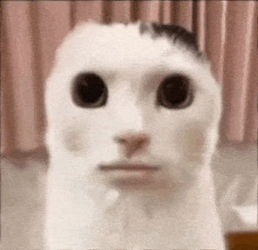 Xwdw GIF